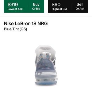 Nike Lebron 18 gs